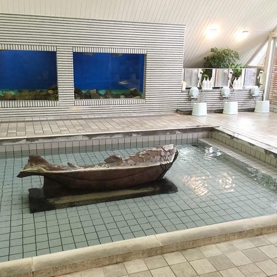 Kankoso Katashina Экстерьер фото